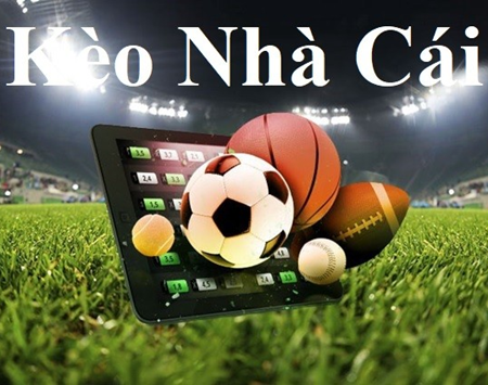 Dự Báo Chuyên Gia Về Kết Quả World Cup 2026