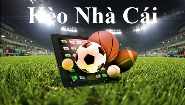 Dự Báo Chuyên Gia Về Kết Quả World Cup 2026